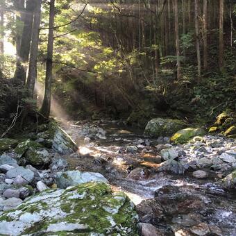 渓流の朝日 渓流,自然,癒しの写真素材
