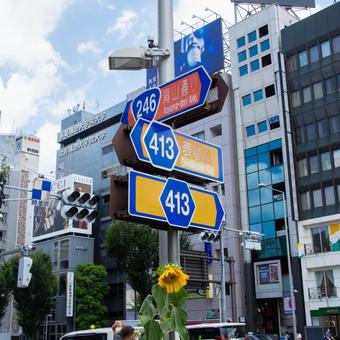 夏の表参道の街並み 夏の表参道の街並み 表参道,青山,青山通りの写真素材