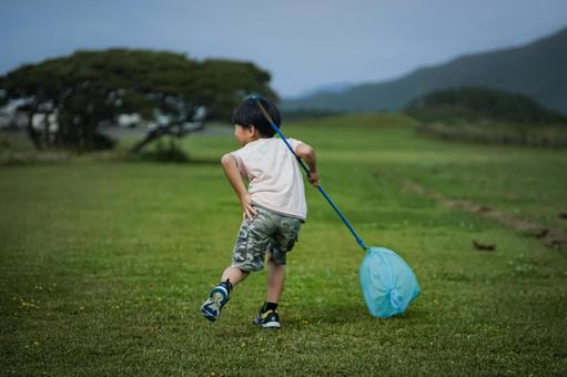 <素材>芝生の公園で虫取りをする男の子 <素材>芝生の公園で虫取りをする男の子 子供,男性,人物の写真素材