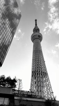 スカイツリー スカイツリーの写真