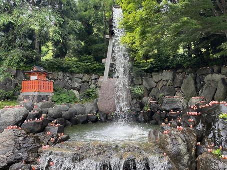 勝尾寺 勝尾寺の写真