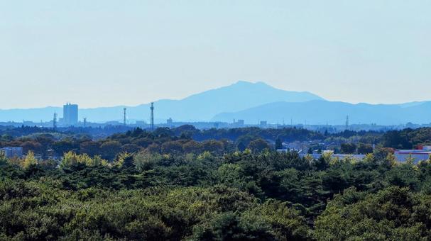 秋のひたち海浜公園・森と遠くの山・茨城県 秋のひたち海浜公園・森と遠くの山・茨城県の写真