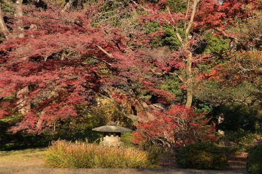 六義園の風景 六義園の風景の写真