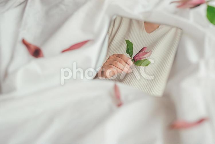 ベットの上の鏡に映る女性と花 花,結婚式,ピンクの写真素材