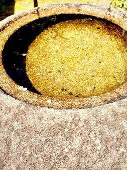 水に浮かぶ桜 水に浮かぶ桜の写真