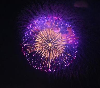夜空の花 夜空の花の写真