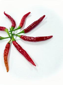 風車状に並べた唐辛子 03 唐辛子,トウガラシ,蕃椒の写真素材