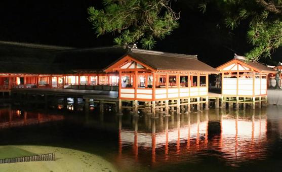 厳島神社の夜景 厳島神社の夜景 世界遺産,日本三景,夜景の写真素材