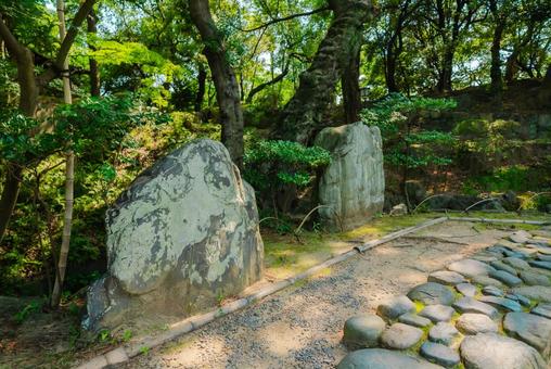 【和歌山】和歌山城 2025 【和歌山】和歌山城 2025 和歌山城,城,和歌山の写真素材
