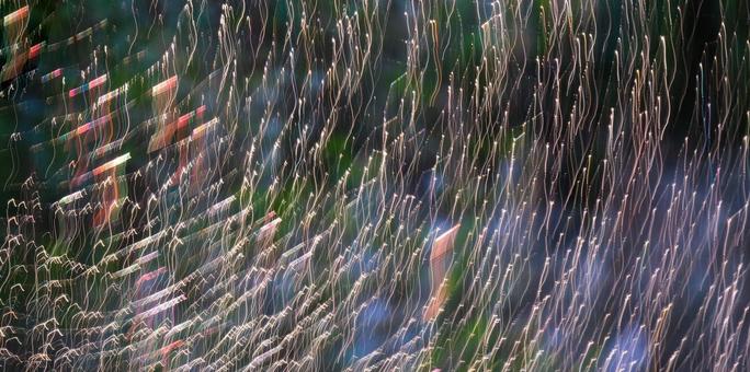 光の流動 光の流動の写真