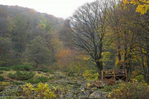 Photo, villaggio delle alpi, yuzawa, yuzawa kogen, 