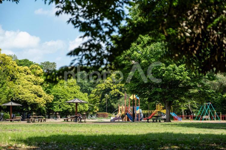 ［東京都武蔵野市・三鷹市］井の頭恩賜公園 井の頭恩賜公園,井の頭公園,公園の写真素材