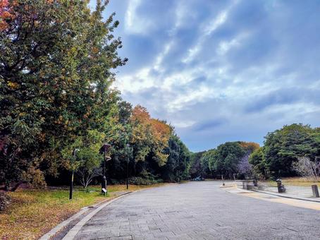 葛西臨海公園 葛西臨海公園,木,自然の写真素材