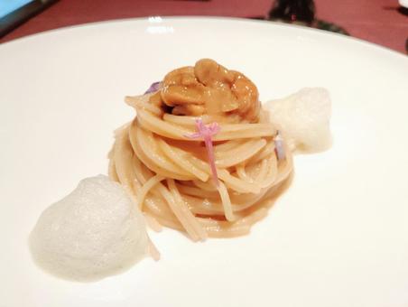 生雲丹のクリーミースパゲッティ スパゲッティ,パスタ,生雲丹の写真素材