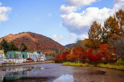 高原と紅葉 紅葉,軽井沢,ローズガーデンの写真素材