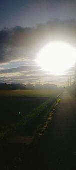 朝の光 朝の光の写真