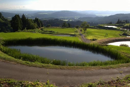 越後木沢 不動林と棚田 越後木沢 不動林と棚田 林,山,棚田の写真素材