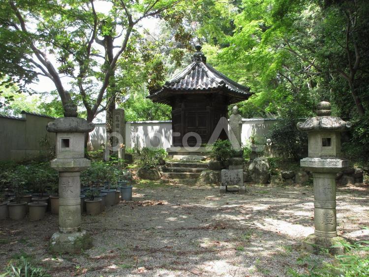 奈良県-當麻寺-奥院-六角堂 當麻寺,寺,二上山の写真素材