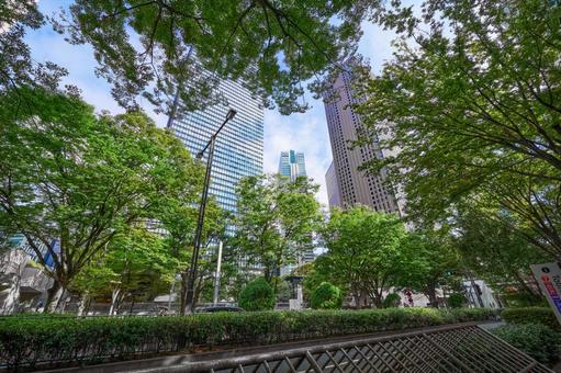 高層ビルと木々　都会と緑　東京 高層ビル,ビジネス,オフィスの写真素材