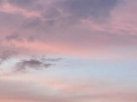 20230810d 20230810dの写真