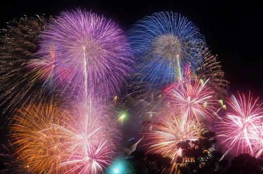 夜空を彩る美しい花火 夜空を彩る美しい花火 花火,夜空,祭りの写真素材