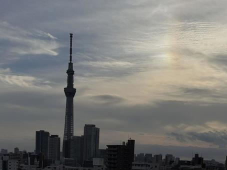 スカイツリーと日暈の写真