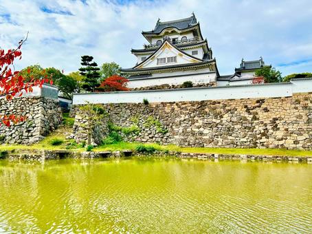 岸和田城 大阪,大阪府,岸和田の写真素材