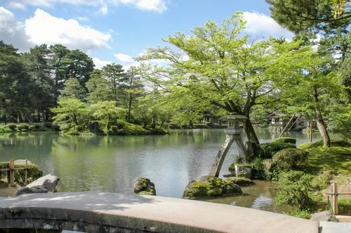 金沢市 兼六園 ことじ灯籠と虹橋(石川) 金沢市 兼六園 ことじ灯籠と虹橋(石川) 金沢,金沢市,石川県の写真素材