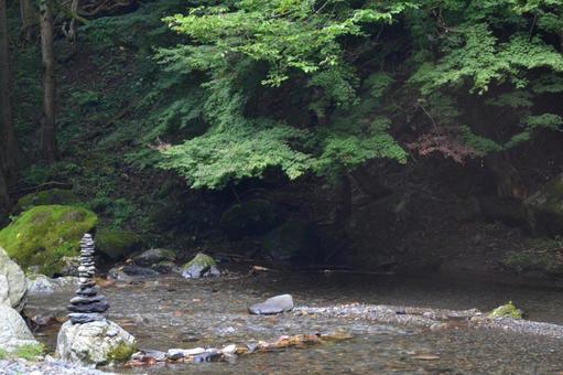 渓流と石 植物,自然,綺麗の写真素材