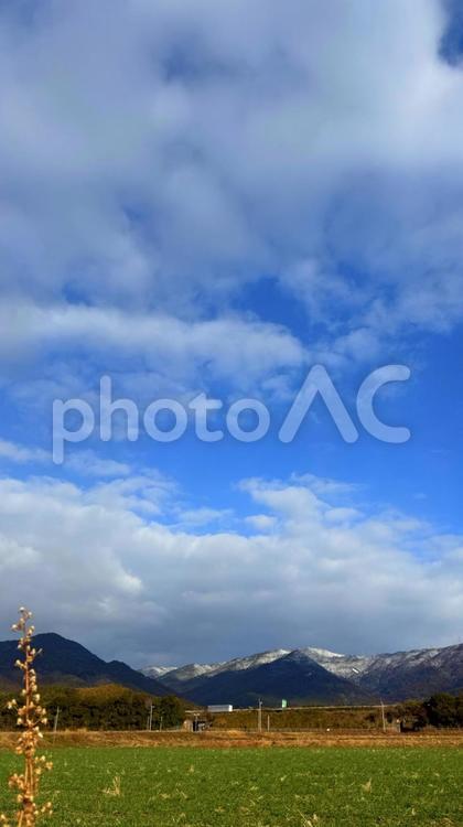 雪山と田んぼの緑 雪山,景色,空の写真素材