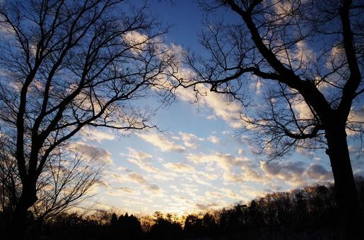 朝焼け 朝焼け 空,雲,朝焼けの写真素材