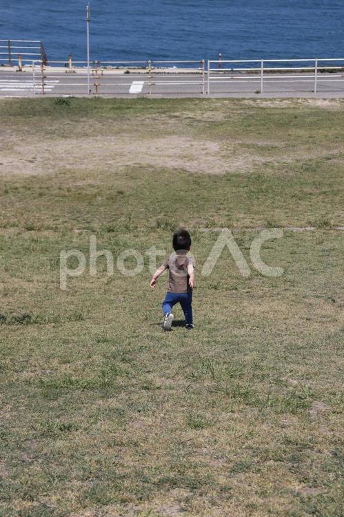 草むらを疾走する幼児 男の子,幼児,三歳の写真素材