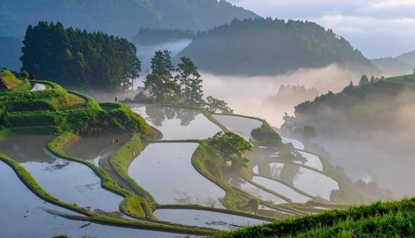 棚田・日本の原風景 棚田・日本の原風景の写真