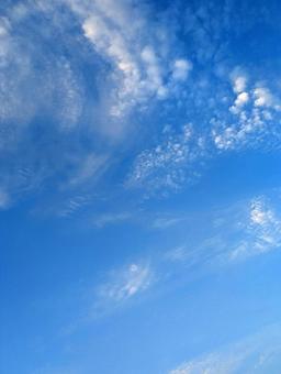 爽やかな夏の空 爽やかな夏の空の写真
