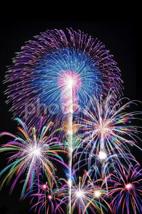 8月の日本の夏祭りの花火大会 花火,夏,日本の写真素材