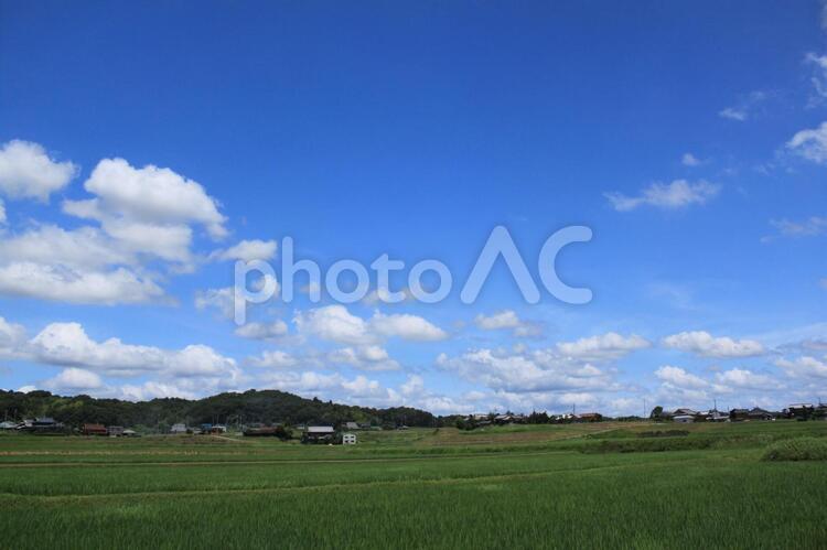 田舎の風景 田舎,田んぼ,田畑の写真素材