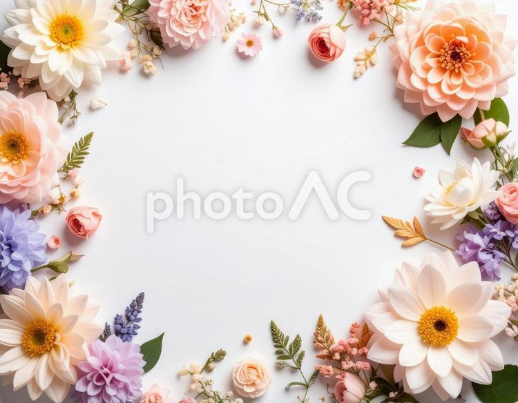 花の飾り枠 ボタニカル,フリーラル,フレームの写真素材