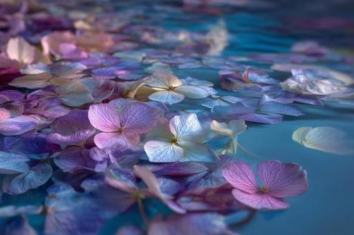 流れる紫陽花 流れる紫陽花の写真
