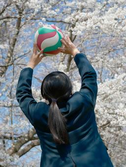バレーボールを掲げる女子中学生-縦- バレーボールを掲げる女子中学生-縦- バレーボール,中学生,女子の写真素材