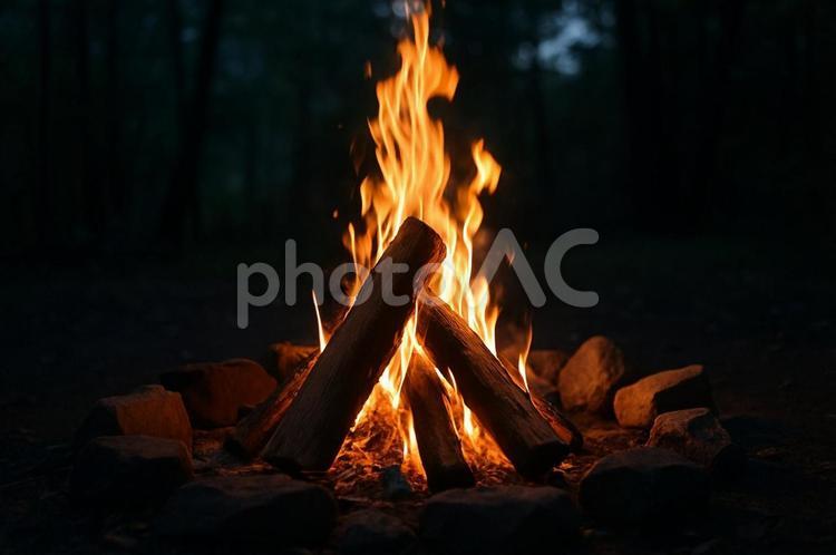 夜の森の焚き火 焚き火,火,炎の写真素材