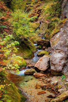 宮城県　鳴子峡の秋の風景 宮城,宮城県,大崎市の写真素材