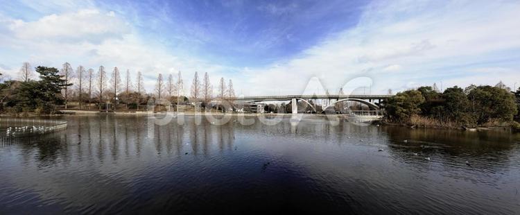 城北公園のイメージ素材 城北公園,菅原城北大橋,大阪の写真素材