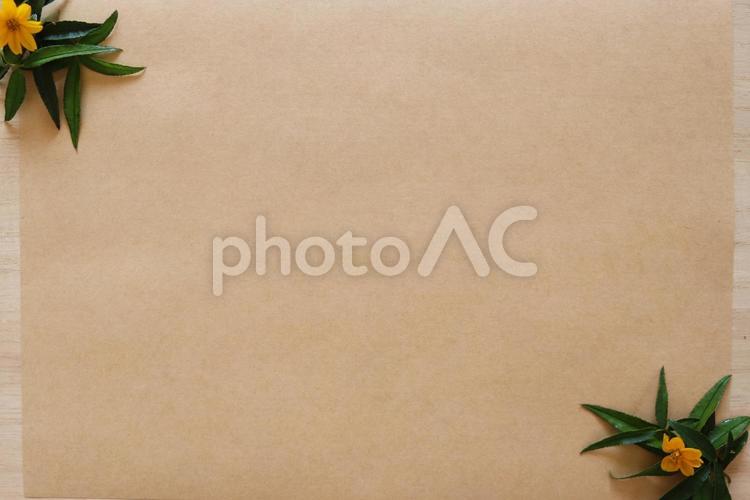 植物を使った背景素材 フレーム,背景,背景素材の写真素材