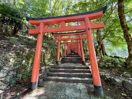 兵庫 出石城跡 諸杉神社 兵庫 出石城跡 諸杉神社 諸杉神社,鳥居,朱色の写真素材