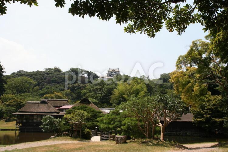 彦根城玄宮園 玄宮園,庭園,日本庭園の写真素材