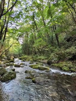 那須の乙女の滝の川 那須の乙女の滝の川 乙女の滝,那須,滝の写真素材
