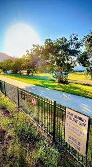 ケアンズの朝日 朝日,ケアンズ,オーストラリアの写真素材