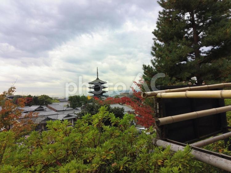 京都の五重塔が見える秋の風景 京都,紅葉,風景の写真素材
