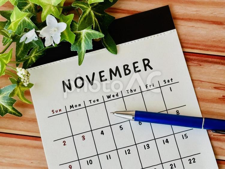 11月カレンダー（シンプル） 11月,カレンダー,スケジュールの写真素材