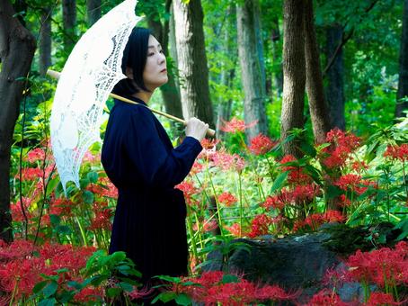 40:彼岸花を静かに眺める女性 40:彼岸花を静かに眺める女性 彼岸花,ミステリアス,悲しげの写真素材